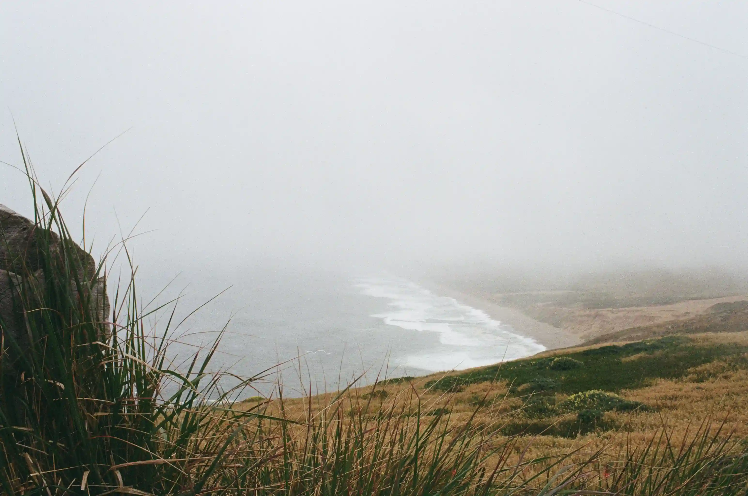 Sorry, I will work on getting alt text implemented. One step at a time.