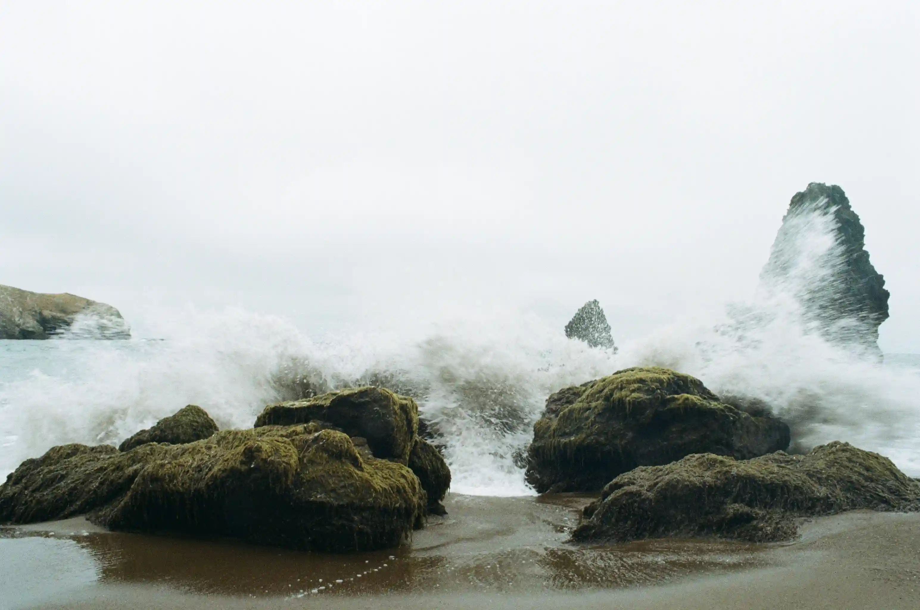 Sorry, I will work on getting alt text implemented. One step at a time.