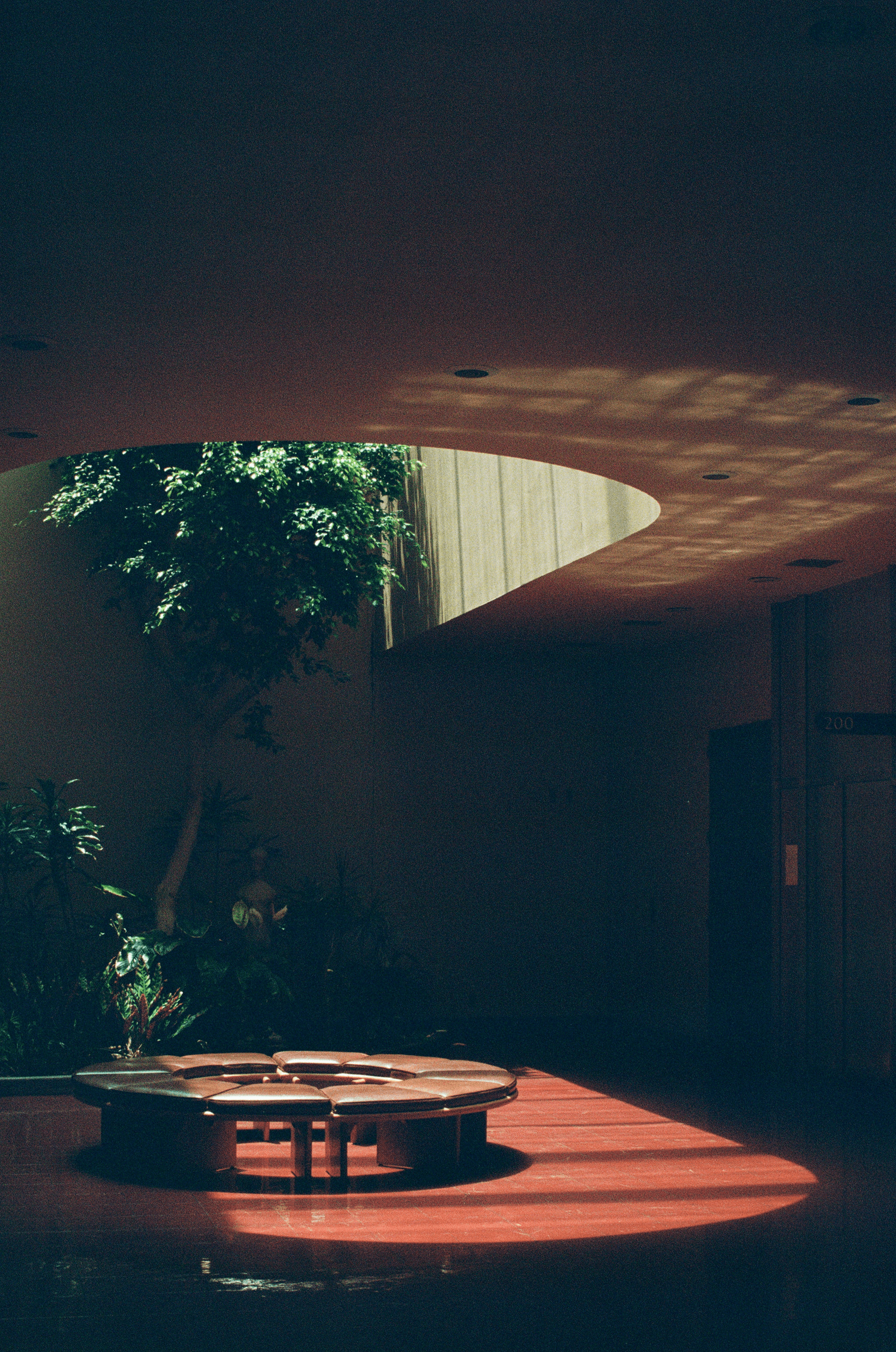 Sorry, I will work on getting alt text implemented. One step at a time.