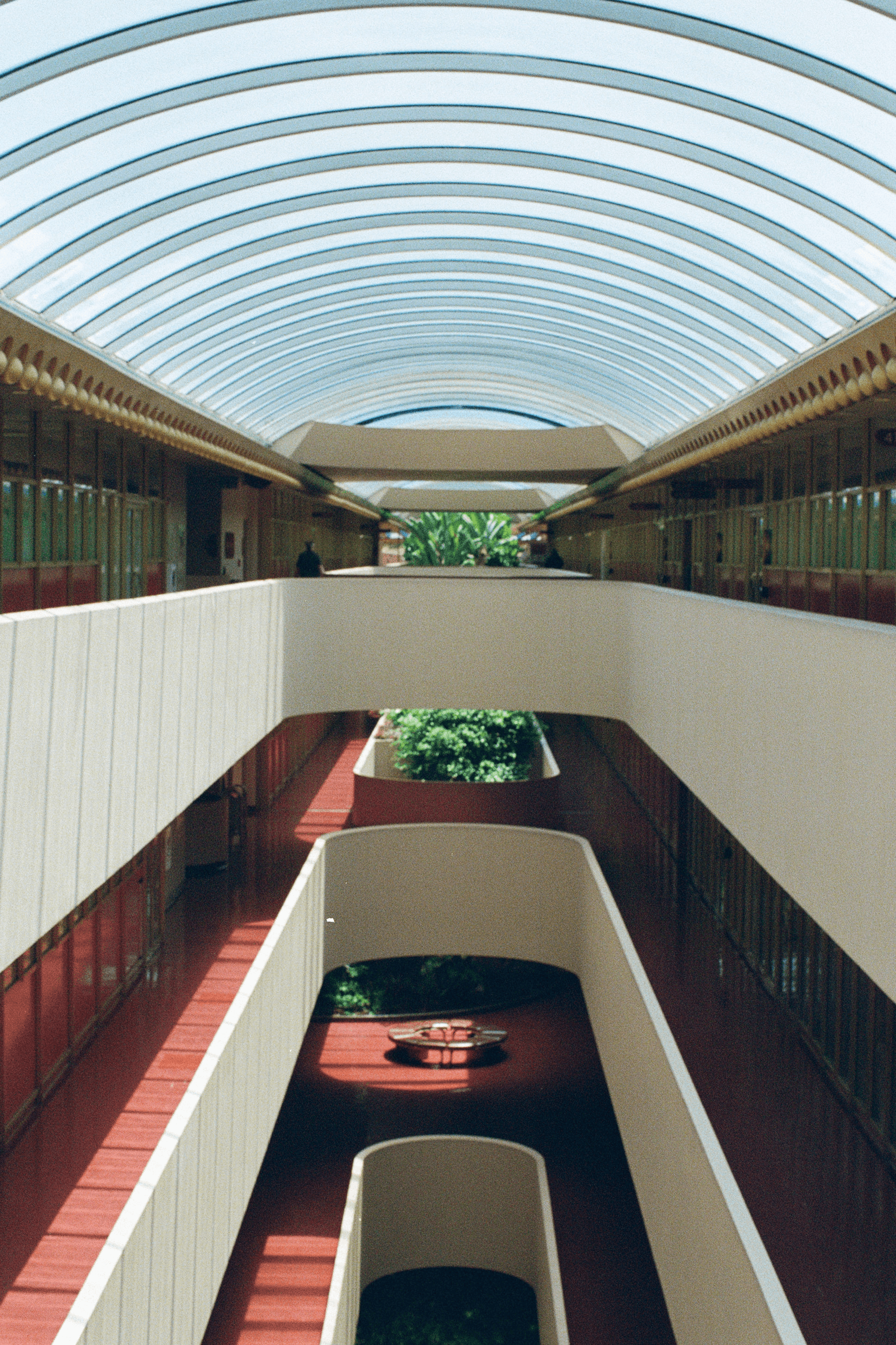 Sorry, I will work on getting alt text implemented. One step at a time.