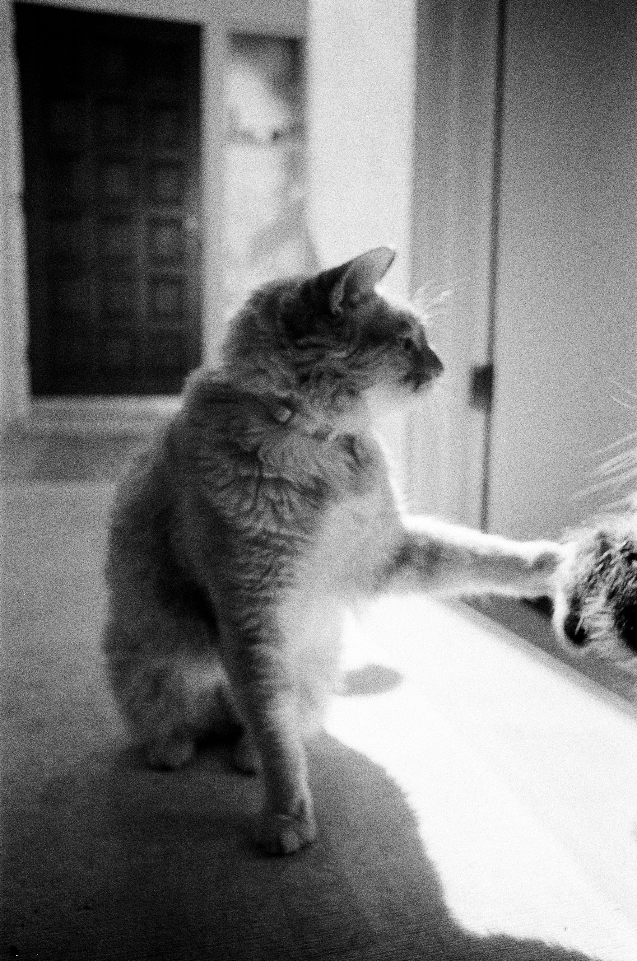 Sorry, I will work on getting alt text implemented. One step at a time.