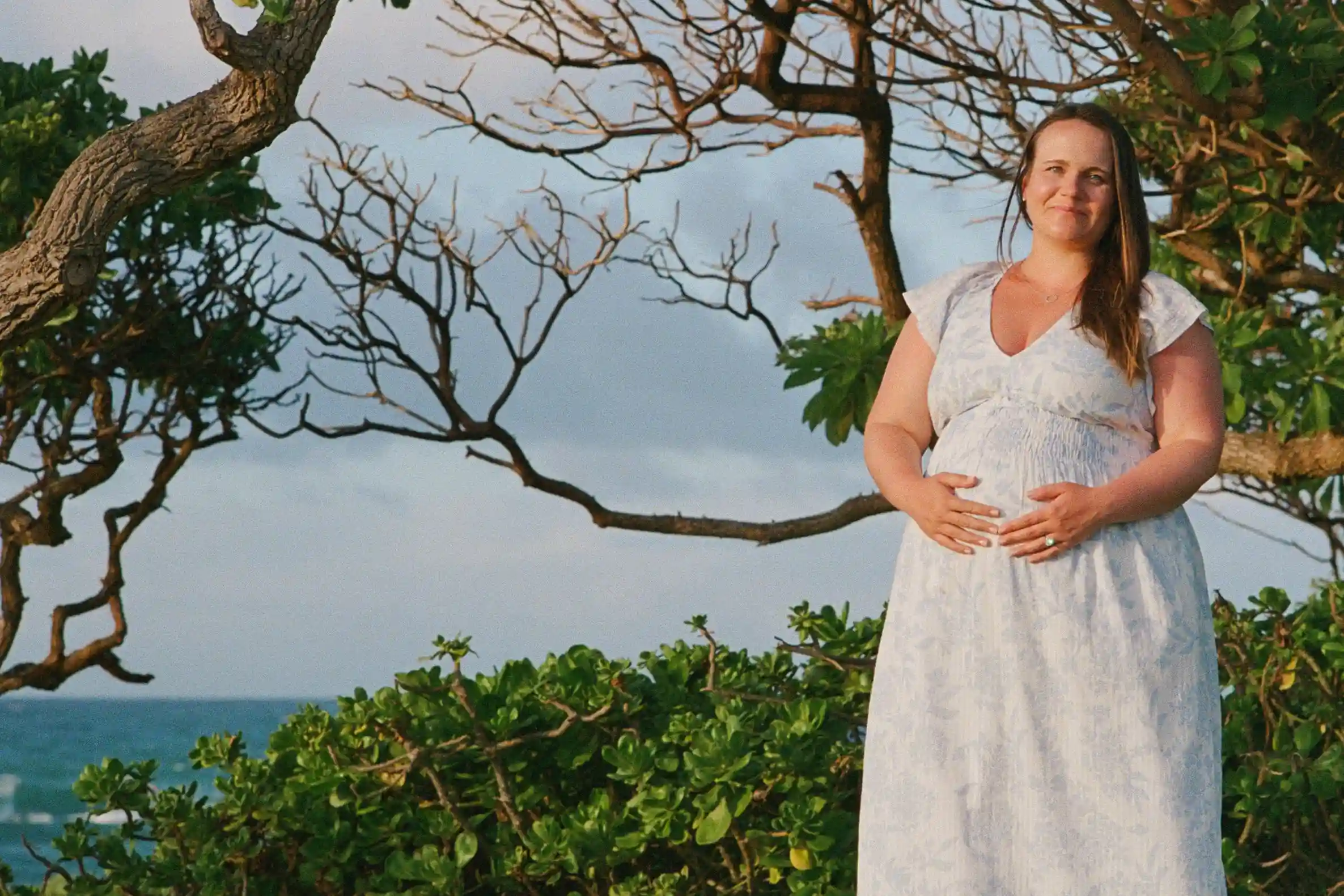 Sorry, I will work on getting alt text implemented. One step at a time.