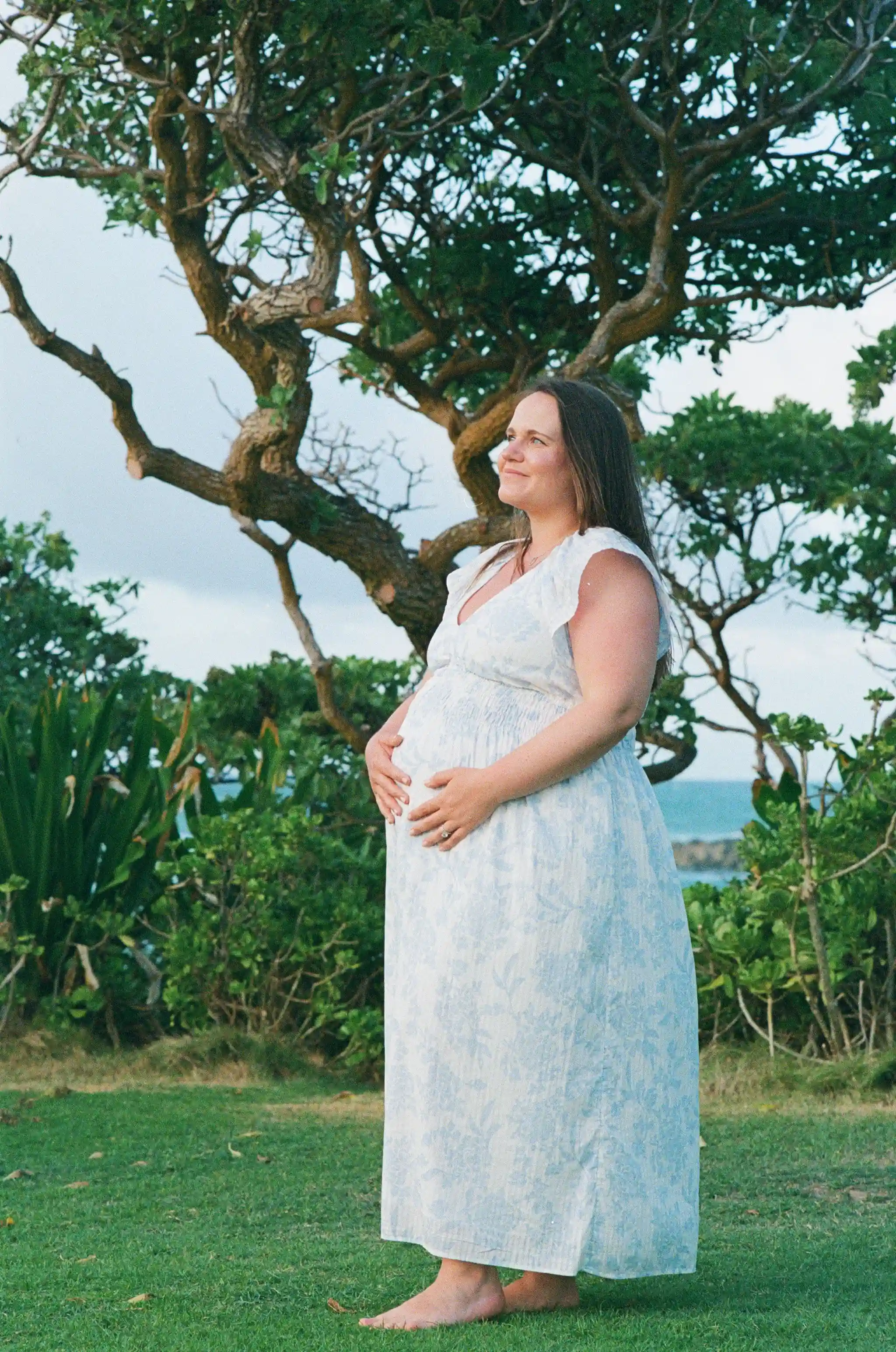 Sorry, I will work on getting alt text implemented. One step at a time.