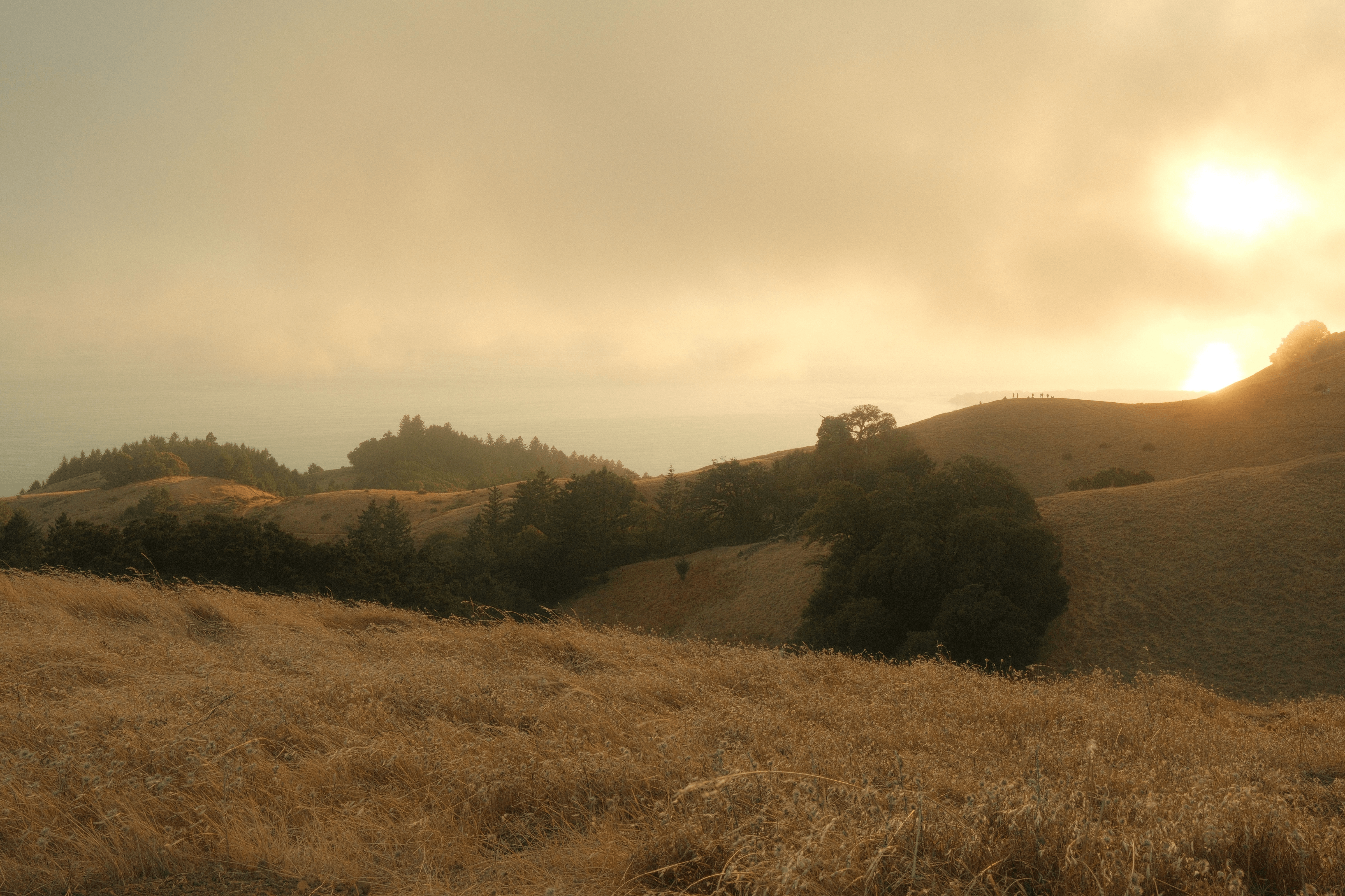 Sorry, I will work on getting alt text implemented. One step at a time.