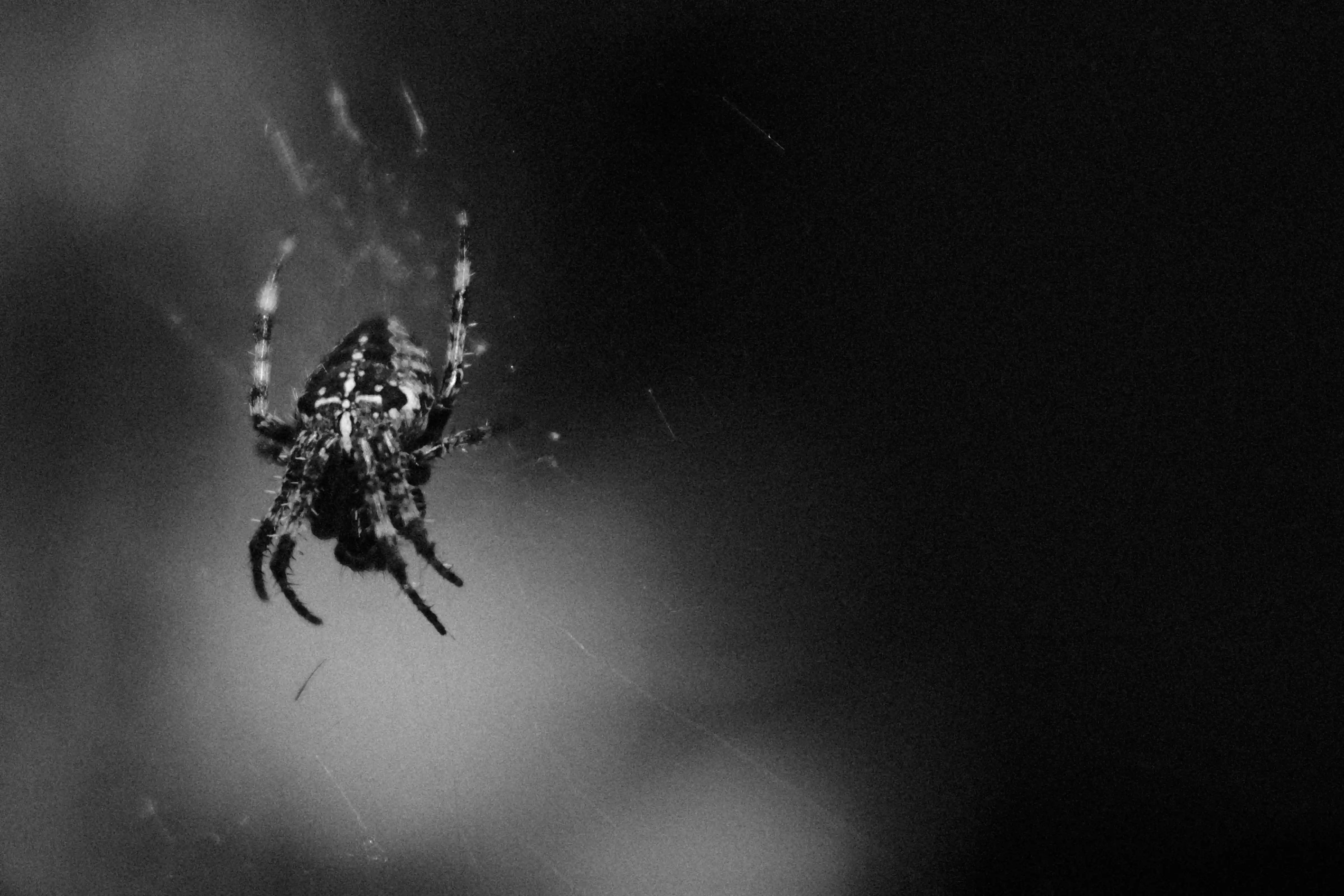 Sorry, I will work on getting alt text implemented. One step at a time.