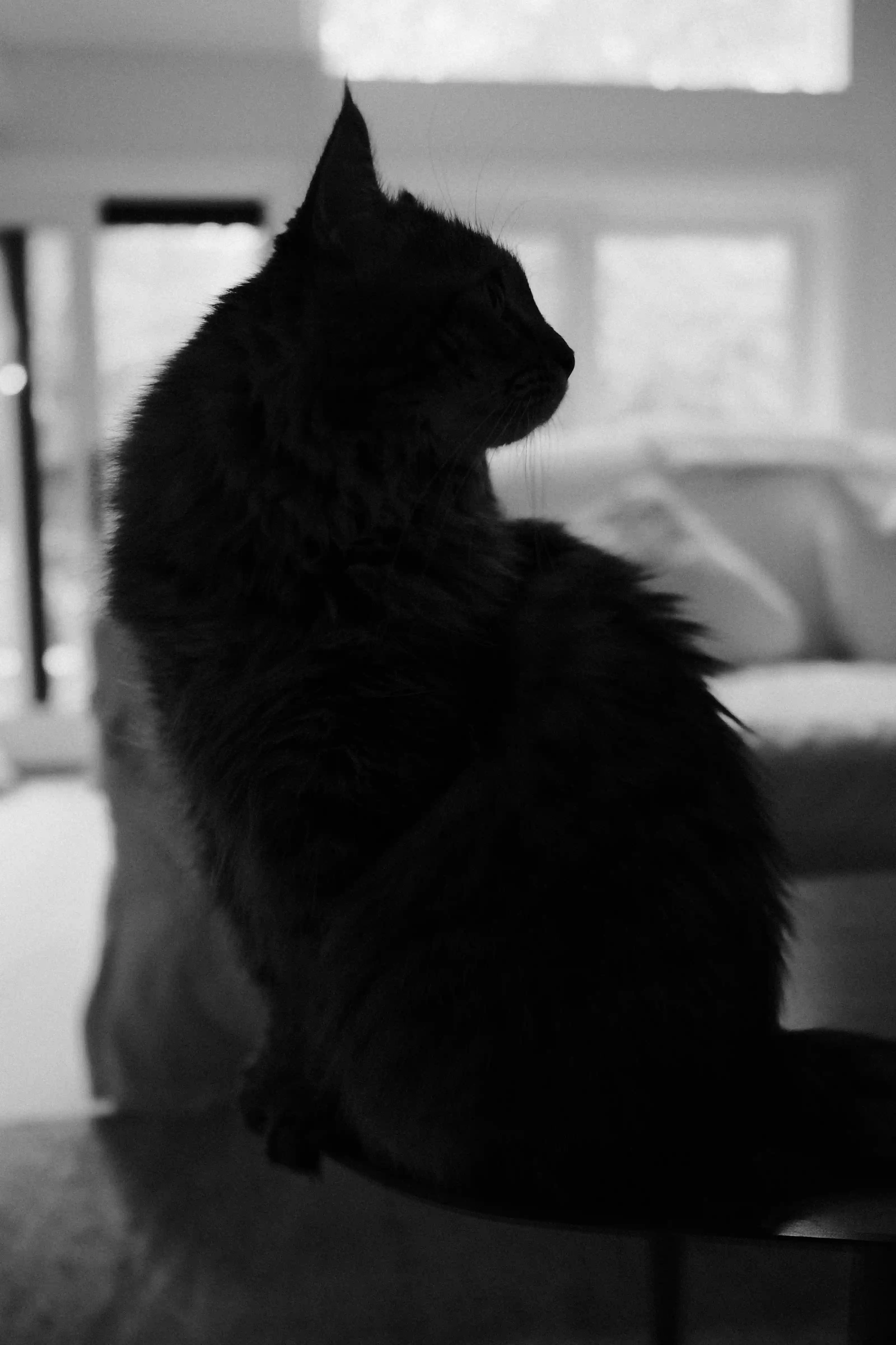 Sorry, I will work on getting alt text implemented. One step at a time.